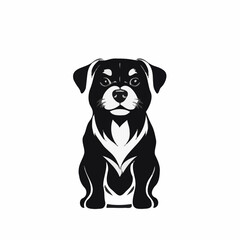 Fototapeta premium dog with bone