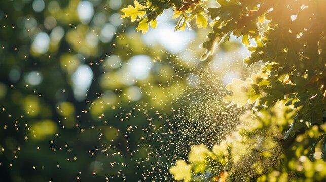 Spring field with tree leaf branches and pollen flying in air in allergic season.