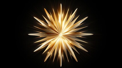 This is a 3D rendering of a gold star. The star has 10 points and is surrounded by a black background.