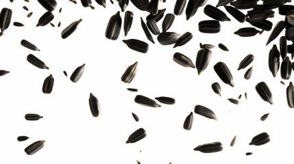 Sunflower seeds arranged separately on white, embodying edible oil seeds, sunflower, seeds, icon, isolated, symbol, outline, grain, agriculture, organic, food