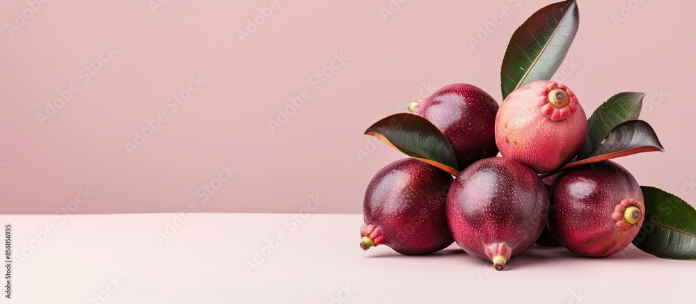 Aufkleber mangosteen on pastel background. food isolated nature. with copy space image. place for adding text 