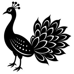 peacock illustration