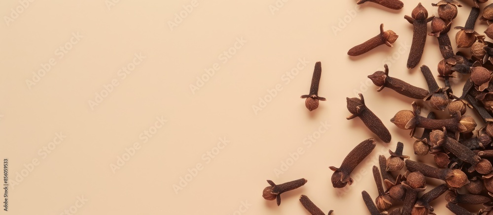 Aufkleber Cloves spice isolated on a pastel background Clove  Spice. with copy space image. Place for adding text or design