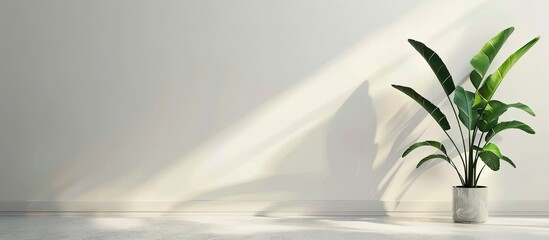 Tropical plant red heliconia in glass pot on white wall. with copy space image. Place for adding text or design