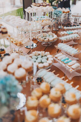 Candy Bar. Sweet holiday buffet with cupcakes and other desserts. Delicious wedding reception candy bar