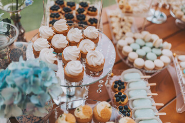 Delicious creamy desserts with fruits, macarons, cakes and cookies on table at wedding reception in restaurant. Luxury catering service. Wedding candy bar.