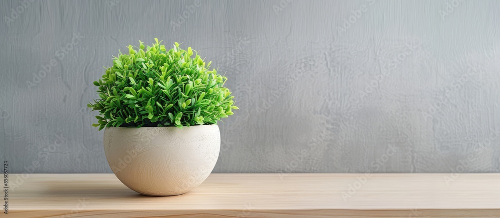 Fototapete artificial green plastic grass in the pot. with copy space image. Place for adding text or design