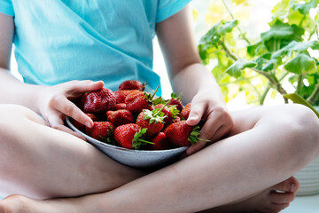 Little girl eating fresh strawberries indoors.