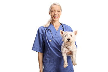 Female veterinarian doctor holding a westie terrier dog and smiling