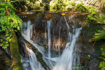 waterfall in the forest