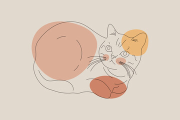 Cute cat doodle vector illustration. Adorable, fluffy kitten design with color on light background. Design character for sticker, print, poster