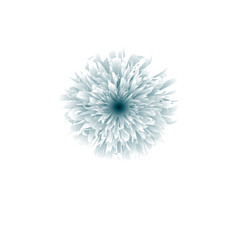 white and blue dandelion, background
