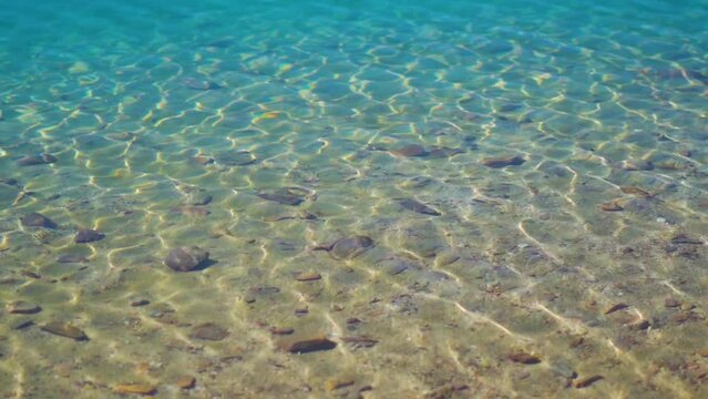 Slow motion shot of water ripples on the Chandra Taal Lake near Kunzum Pass in Spiti Valley, Himachal Pradesh, India. Water ripples on the blue water of Chandra Tal lake due to the strong winds. 
