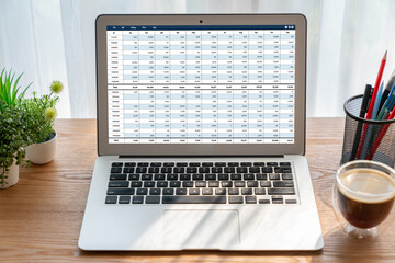 Accounting software on computer screen showing financial statement spreadsheets and account balance...