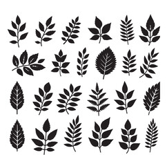 Leaf collection - vector silhouette