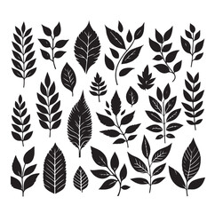 Leaf collection - vector silhouette