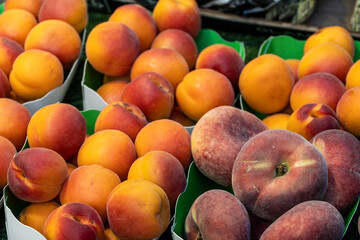 peaches displayed on street market stall, in Paris