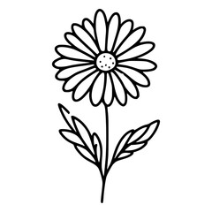 
This is an illustration of flowers in a simple and modern line art style. 
