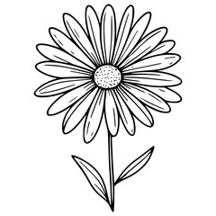 
This is an illustration of flowers in a simple and modern line art style. 
