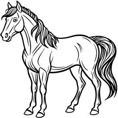 horse illustration