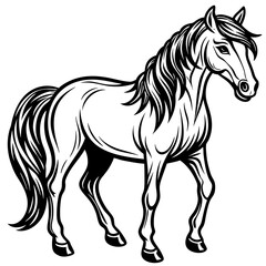 horse illustration