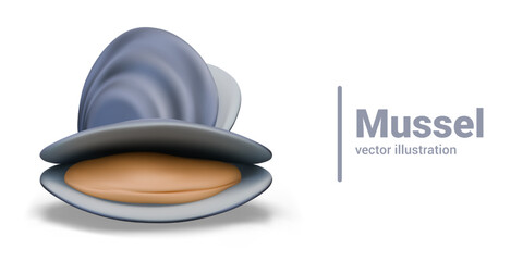 Vector mussel in realistic style. Mollusk in shell. Color composition