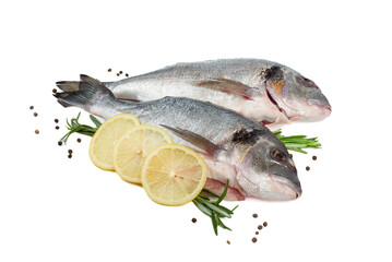 Dorado fish with lemon, rosemary and pepper on white background.