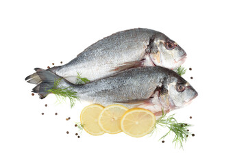 Cleaned dorado fish with lemon, dill and pepper on white background.