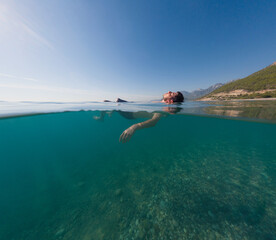 Sea summer landscape. Travel and Holiday concept.