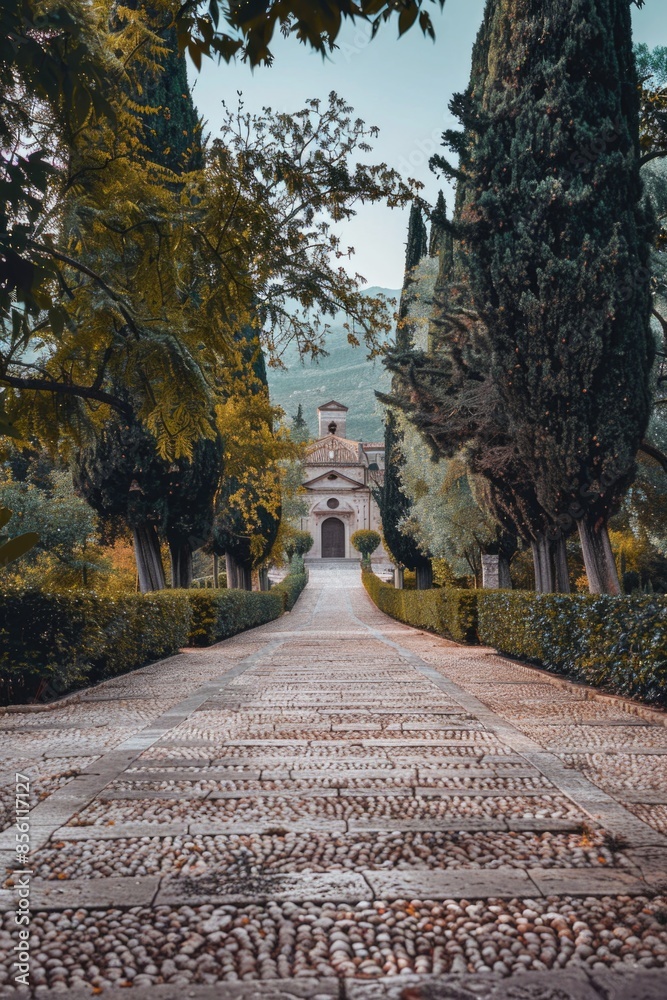 Poster A serene outdoor setting with a walkway lined with trees and a building in the background, ideal for use in travel or lifestyle editorial