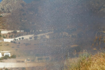 Red raging flame of fire burn in grass fields, forests and black and white smoke to sky. Big wildfire close-up. pollution in air concept.