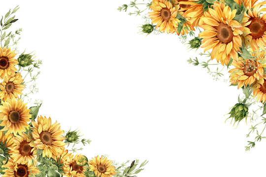 Sunflower corner border on transparent background