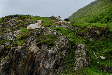 landscape in the mountains