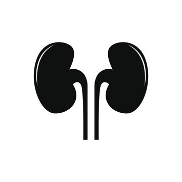 recommend clip art: kidney icon vector design silhouette style