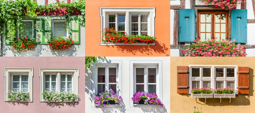 Poster als Collage mit verschiedenen Blumenfenstern