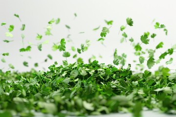 Obraz premium A group of green leaves are suspended in mid-air, capturing their natural movement and texture