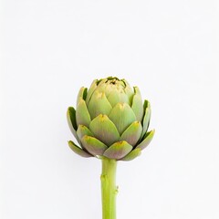 Fototapeta premium Artichoke isolated on white background