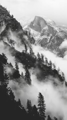 Obraz premium Misty mountain landscape with forest, black and white photography. Nature and tranquility concept