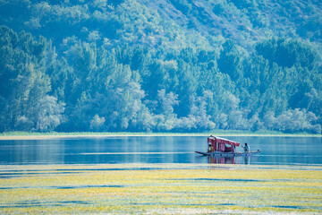 A boat peacefully floats on a serene lake, surrounded by trees, lake Wular, Kashmir, India