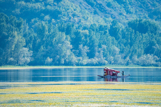 A boat peacefully floats on a serene lake, surrounded by trees, lake Wular, Kashmir, India