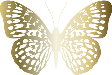 Decorative Panther butterfly made of gold foil.