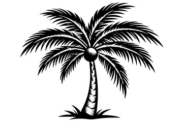 coconut tree vector illustration