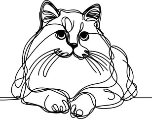 cat drawn only with black lines