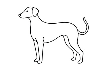 Dog Line art Drawing, continuous line drawing of dog, dogs vector