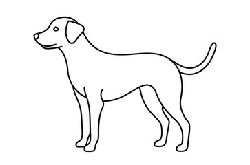 Dog Line art Drawing, continuous line drawing of dog, dogs vector