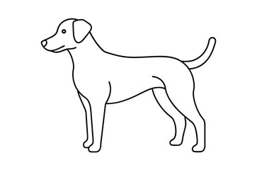 Dog Line art Drawing, continuous line drawing of dog, dogs vector