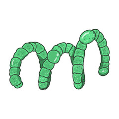 Exploring Anabaena or Dolichospermum: A Filamentous Cyanobacterium in Aquatic Ecosystems. Discover Its Cellular Architecture, Nitrogen Fixation Abilities, and Impact on Harmful Algal Blooms