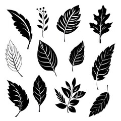 Set of flower and leaves silhouettes. Hand drawn floral design elements, icons, shapes. Wild and garden flowers, leaves black and white outline illustrations isolated on white background