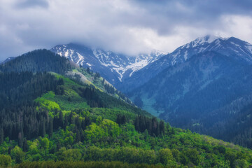 Fototapeta premium Panorama of spring mountains covered with forest with fresh greenery and snow on the peaks. Soldiers Gorge in Almaty, Kazakhstan in the Tien Shan mountains