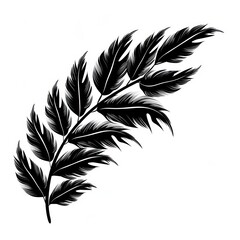 Obraz premium Set of flower and leaves silhouettes. Hand drawn floral design elements, icons, shapes. Wild and garden flowers, leaves black and white outline illustrations isolated on white background